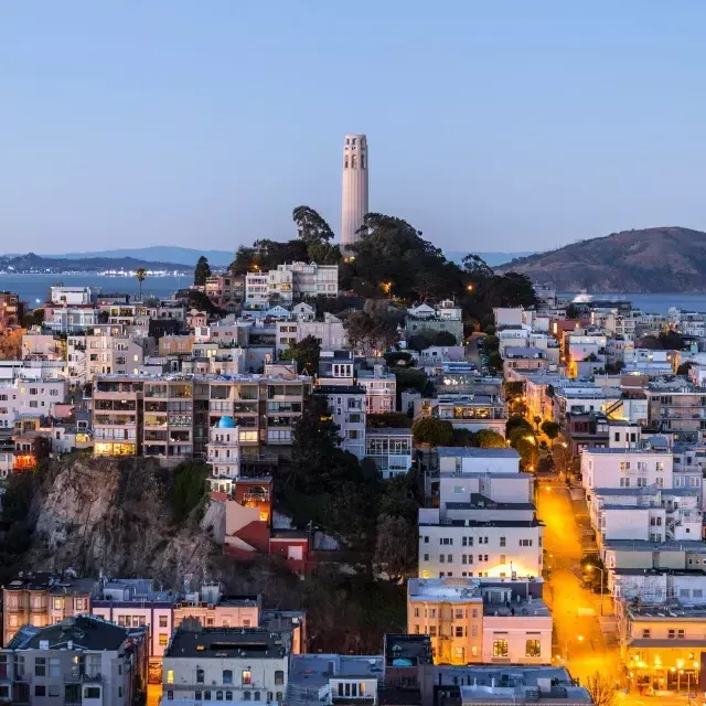 贝博体彩app的科伊特塔在黄昏, con calles iluminadas frente a ella y la Bahía de San Francisco detrás.